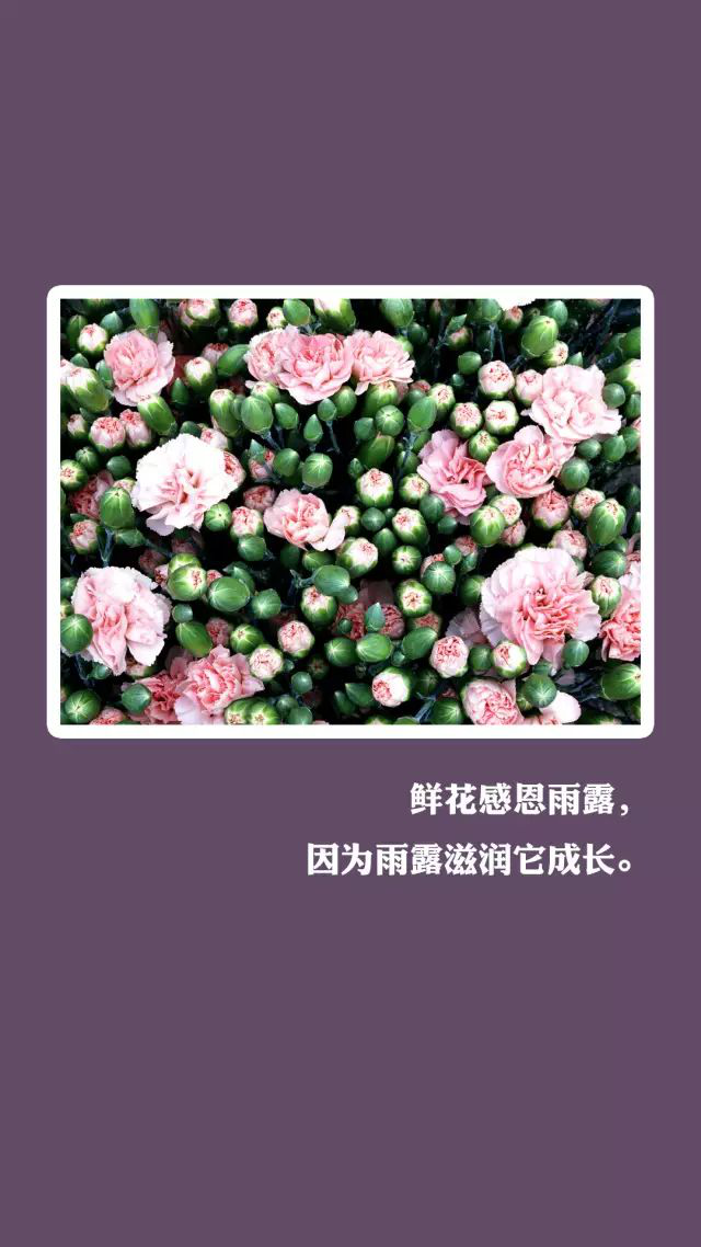 澳门红姐论坛